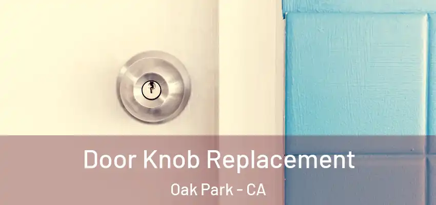  Door Knob Replacement Oak Park - CA