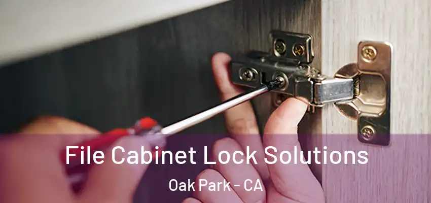  File Cabinet Lock Solutions Oak Park - CA
