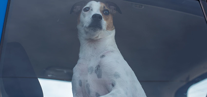 Car Lockout Solutions in Oak Park, California