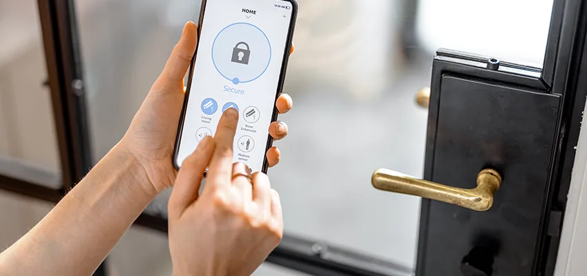 Remote Control Locks Sensor Repair in Oak Park, California