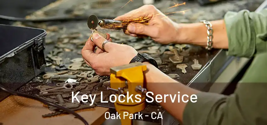  Key Locks Service Oak Park - CA