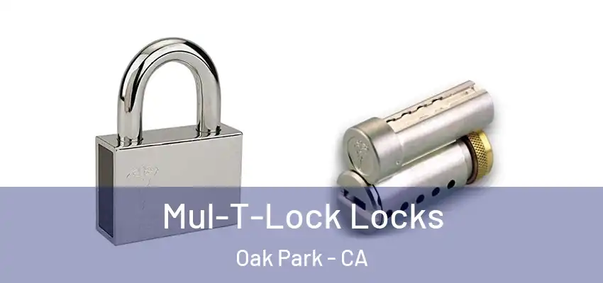  Mul-T-Lock Locks Oak Park - CA