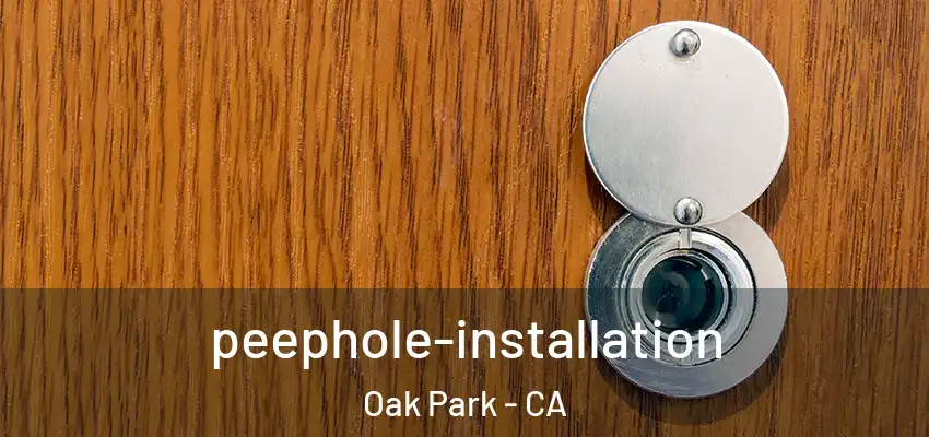 peephole-installation Oak Park - CA